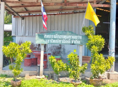 นางสาววิลาวัลย์ แก้วเกาะสะบ้า ... พารามิเตอร์รูปภาพ 1